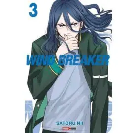 Wind Breaker 03