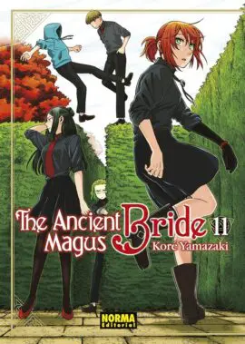 The ancient Magus Bride 11