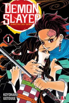 Demon Slayer Kimetsu no Yaiba 01