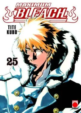 Maximum Bleach 25