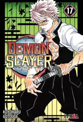 Demon Slayer Kimetsu no Yaiba 17