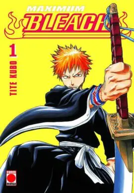 Maximum Bleach 01