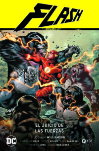 Flash Vol. 7 - El juicio de las fuerzas