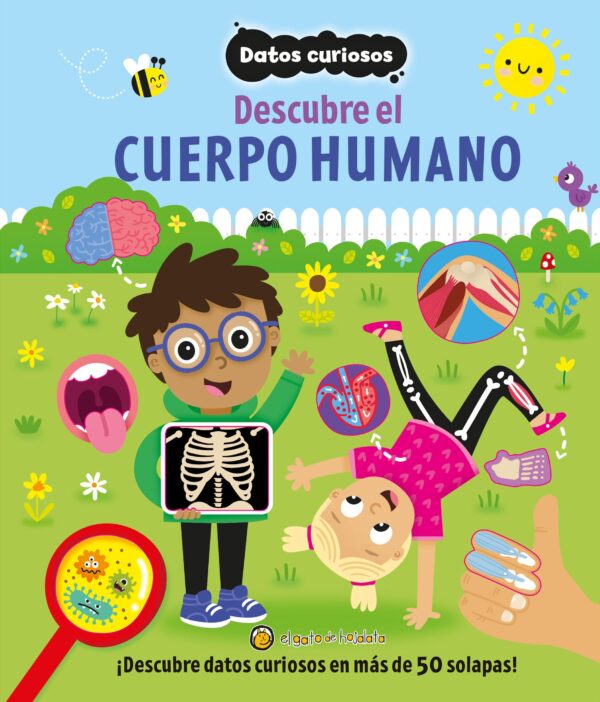 Datos curiosos: Cuerpo humano