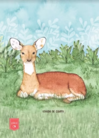 Cuaderno. Animales Uruguay