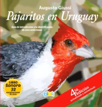 Pajaritos en Uruguay