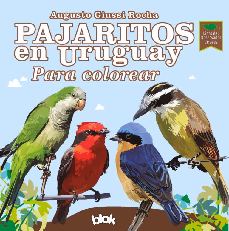 Pajaritos del Uruguay para colorear