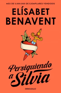 Persiguiendo a Silvia (bolsillo)