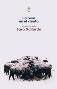 Rosa en el viento